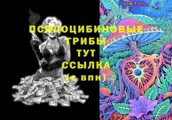 стаф Вязники