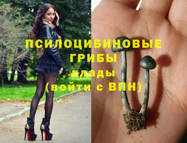 стаф Вязники